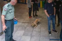 Służba od kulis – relacja z wizyty funkcjonariuszy Pomorskiego Urzędu Celno-Skarbowego w Gdyni