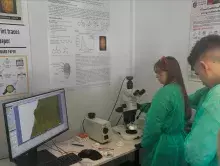 Mikropoświadczenia wydane w ramach programu BIP Erasmus+