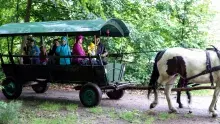 XII Piknik Golfowy, 10.06.2017