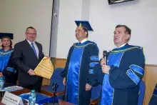 DHC prof. Stelina