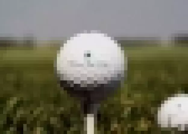 XI Piknik Golfowy