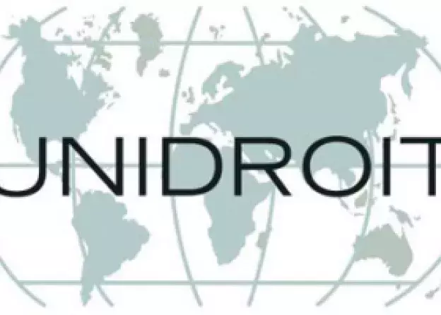 Stypendium naukowe „UNIDROIT Research Programme 2019” dla prof. Kamila Zeidlera